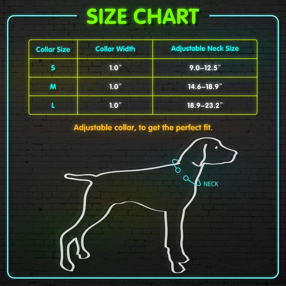 LED Dog Collar Light USB Rechargeable Light up Collar Adjustable Glowing Pet Collar Super Bright for Night Safety Dog Collar with 6 Colors for Large, Medium, Small Dogs (Green, Medium)