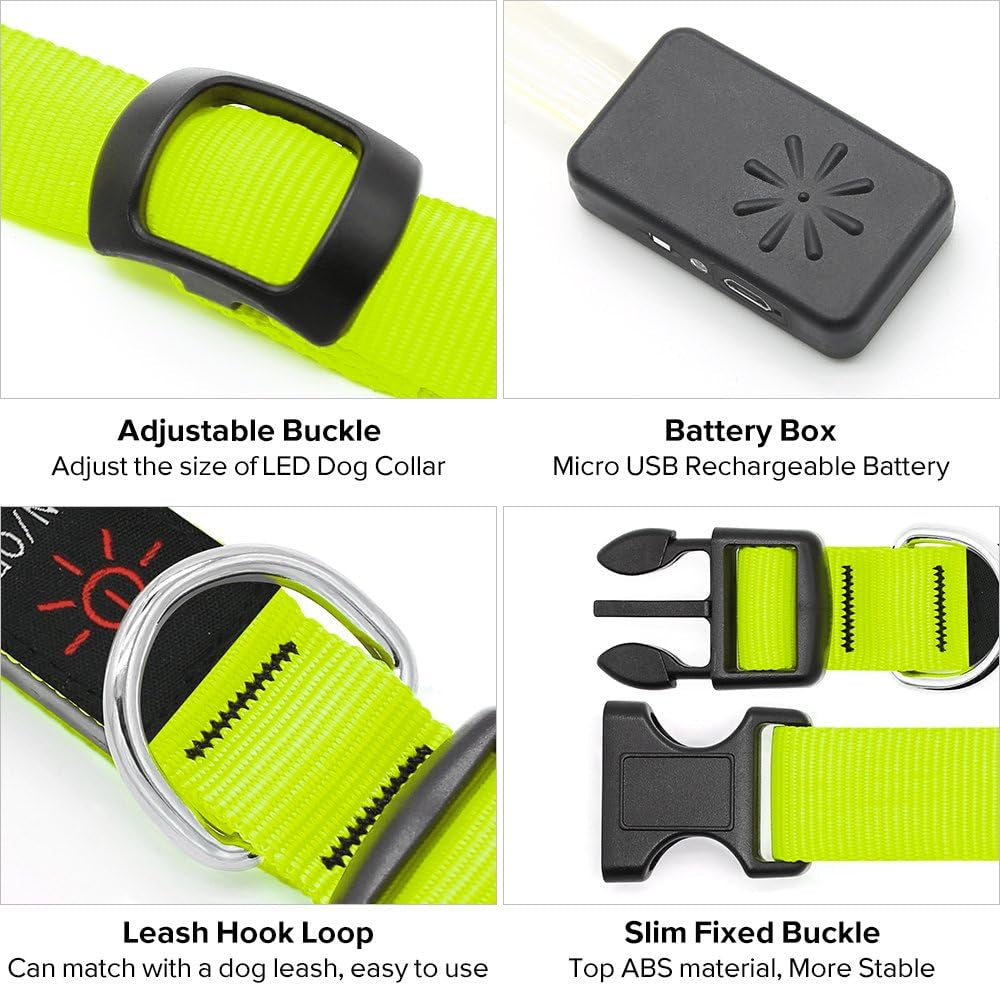 LED Dog Collar Light USB Rechargeable Light up Collar Adjustable Glowing Pet Collar Super Bright for Night Safety Dog Collar with 6 Colors for Large, Medium, Small Dogs (Green, Medium)