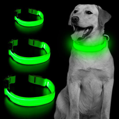LED Dog Collar Light USB Rechargeable Light up Collar Adjustable Glowing Pet Collar Super Bright for Night Safety Dog Collar with 6 Colors for Large, Medium, Small Dogs (Green, Medium)