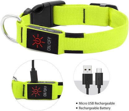 LED Dog Collar Light USB Rechargeable Light up Collar Adjustable Glowing Pet Collar Super Bright for Night Safety Dog Collar with 6 Colors for Large, Medium, Small Dogs (Green, Medium)