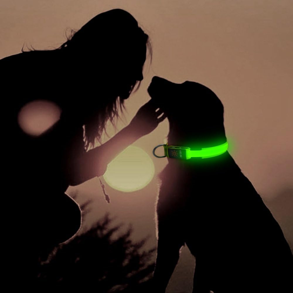 LED Dog Collar Light USB Rechargeable Light up Collar Adjustable Glowing Pet Collar Super Bright for Night Safety Dog Collar with 6 Colors for Large, Medium, Small Dogs (Green, Medium)